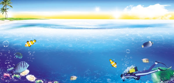 夏天大海潜水与热带鱼图片