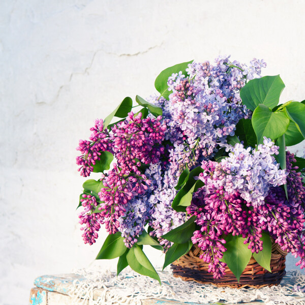 美丽丁香花花篮