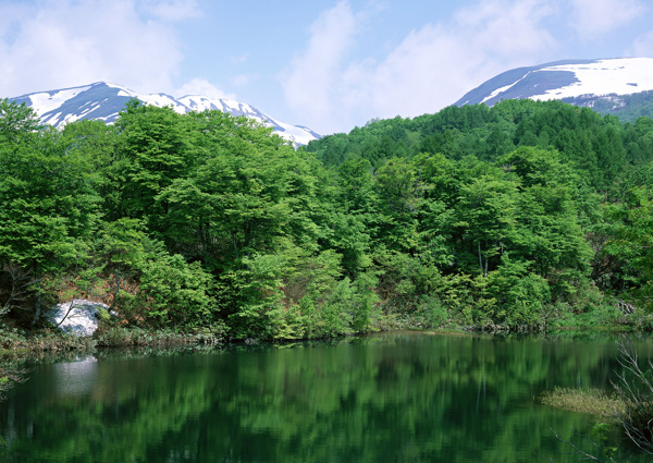 雪山下的绿树湖泊