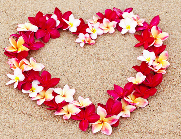 沙滩上的心形花朵图片