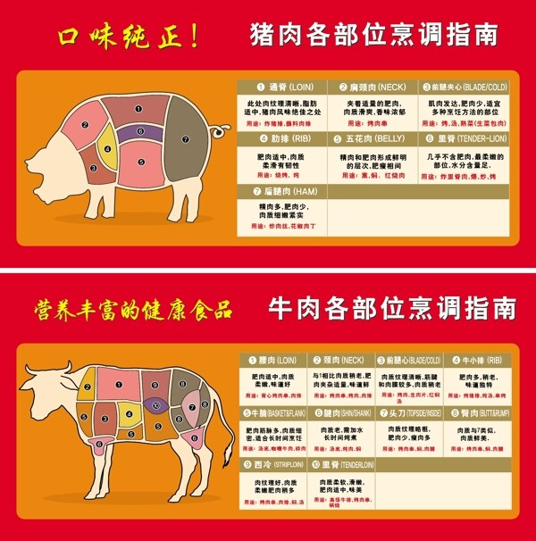 猪牛肉分割各部位烹饪指南图片