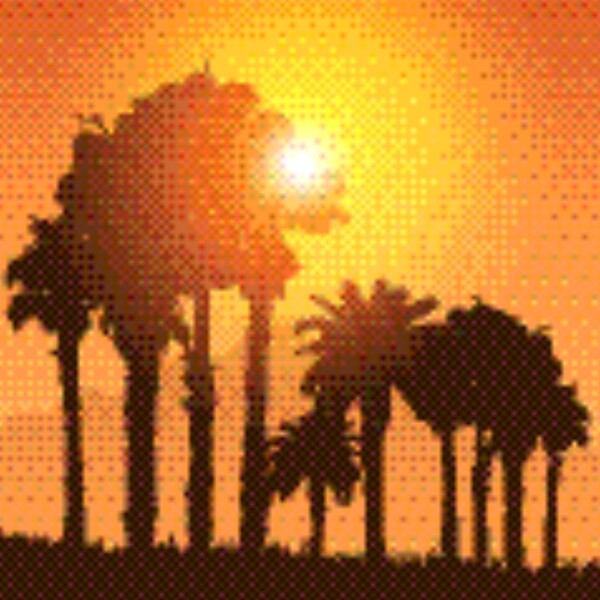 热带景观在落日的天空的棕榈树的剪影