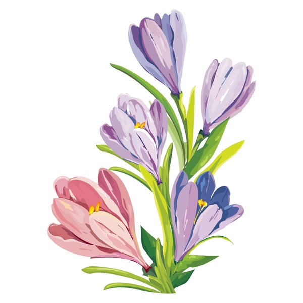 矢量图植物写意花卉花朵野花免费素材