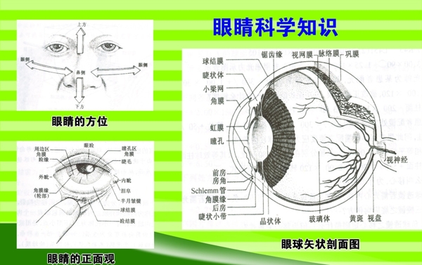 眼睛科学图片