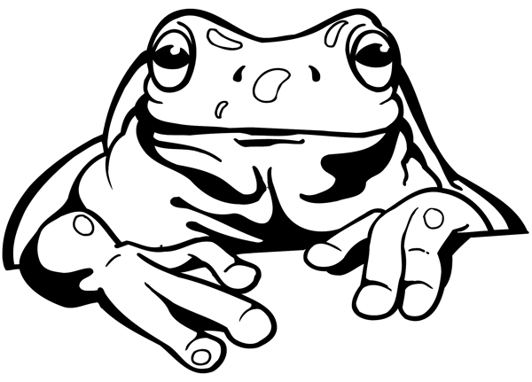 青蛙爬行动物矢量素材eps格式0018