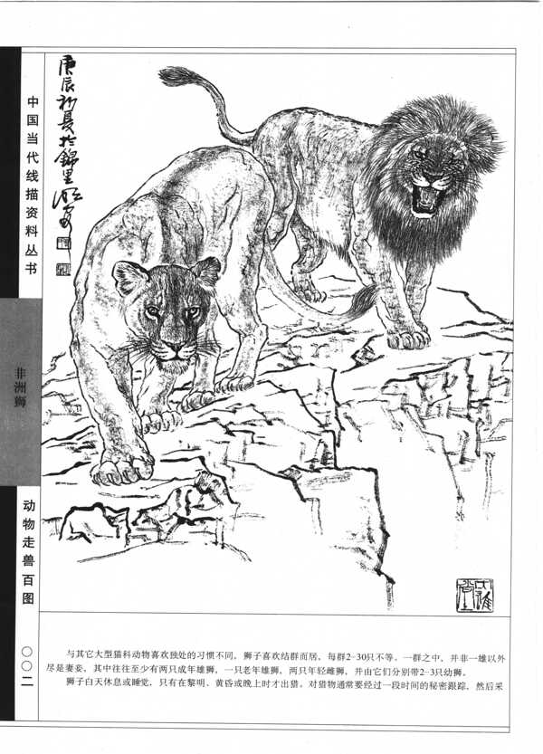 动物走兽百图14狮图片