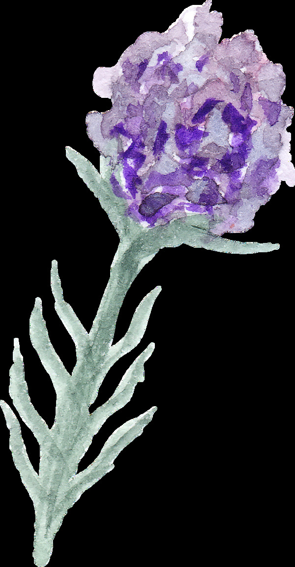 水紫花束卡通水彩透明素材