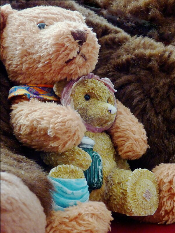 可爱泰迪熊毛绒玩具图片