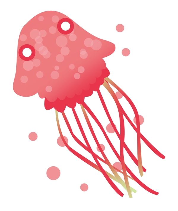 红色水生水母