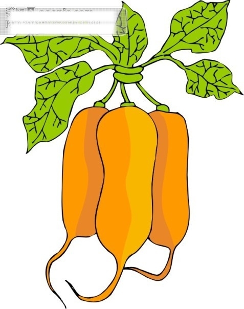 蔬菜卡通图91
