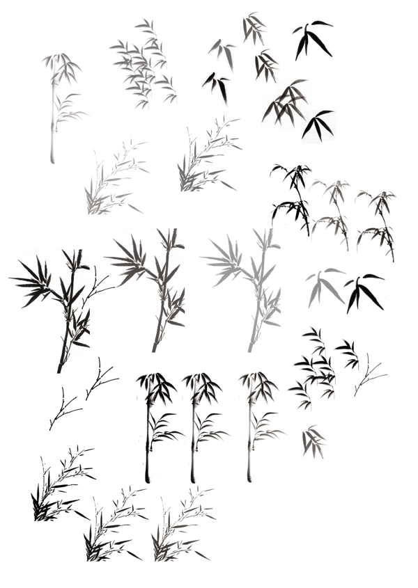 单竹子竹叶图片