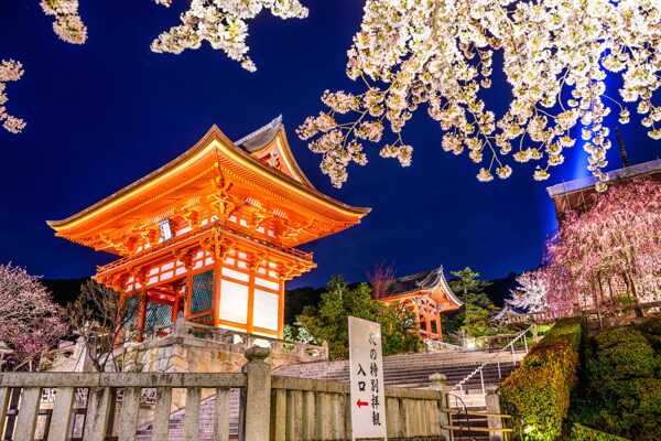 夜晚日式建筑图片