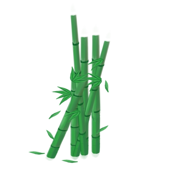 春天竹子用于气节的点缀
