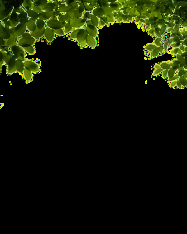 灌木丛装饰免抠png透明图层素材