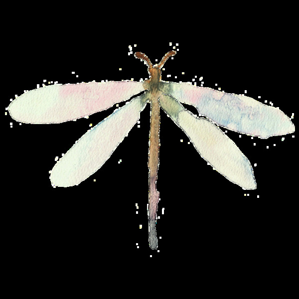 手绘蜻蜓透明装饰图案