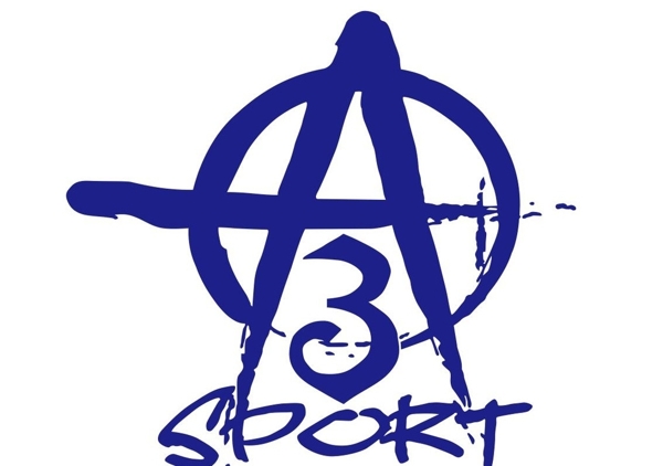 A3轮滑LOGO