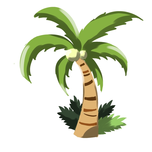 热带夏季椰子树