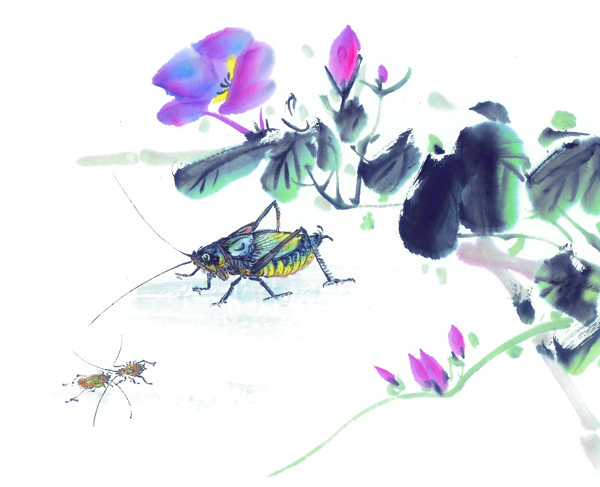 树枝花瓣水墨画昆虫蚂蚱蛐蛐知了蝗虫中华艺术绘画
