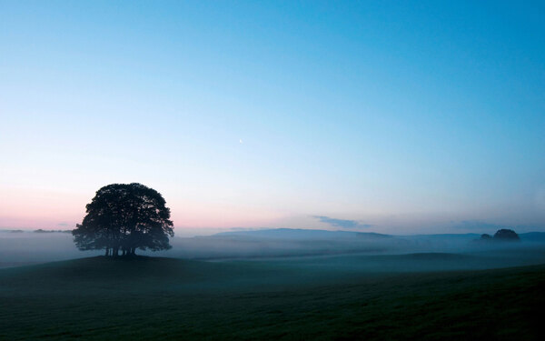 早晨的雾与天边的树唯美意境图片下载