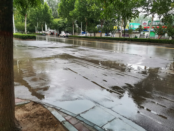 城市下雨天雨季树木街道背景素材