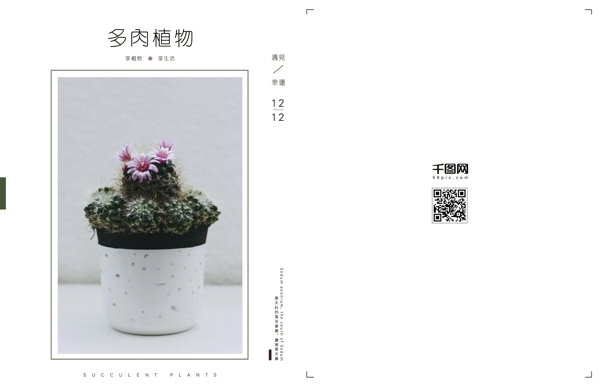 植物画册小清新商业画册