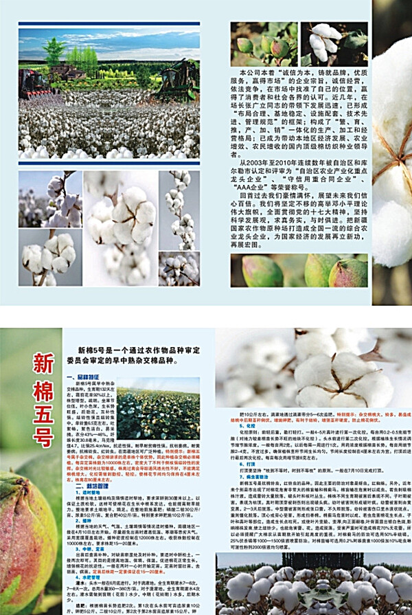 棉花宣传单宣传册彩页图片