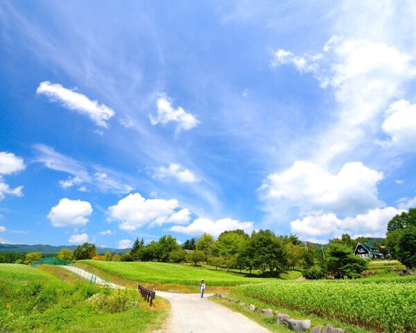 天空下的田野和小路