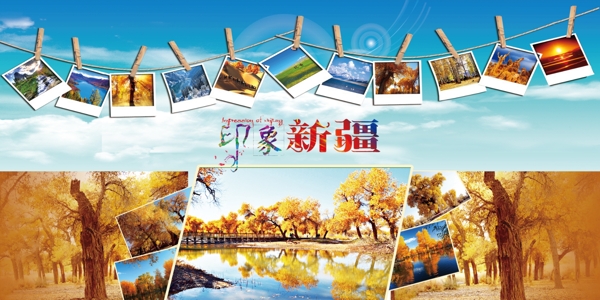 新疆胡杨林风景画素材海报