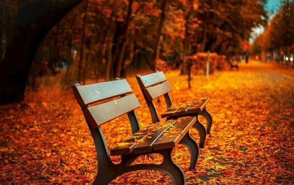 秋天座椅图片