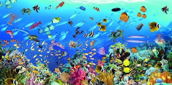 超级海底大世界图片