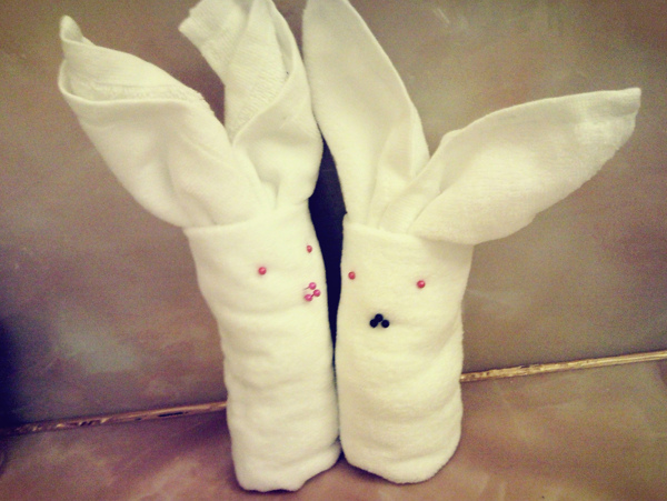 毛巾兔子图片