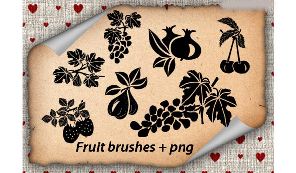 葡萄草莓和樱桃等植物PS笔刷