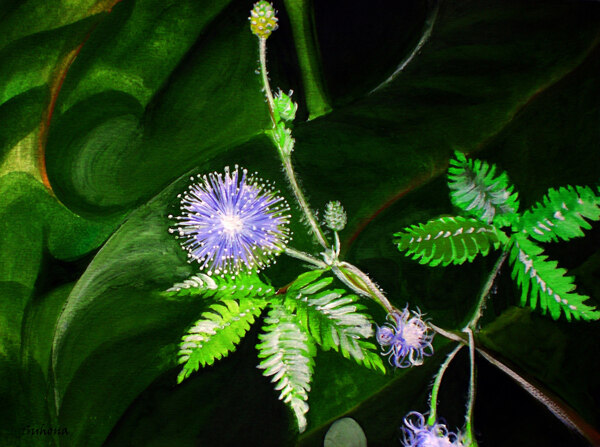 位图写意花卉植物花朵免费素材