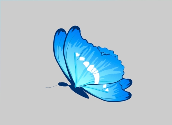 蓝色蝴蝶flas源文件
