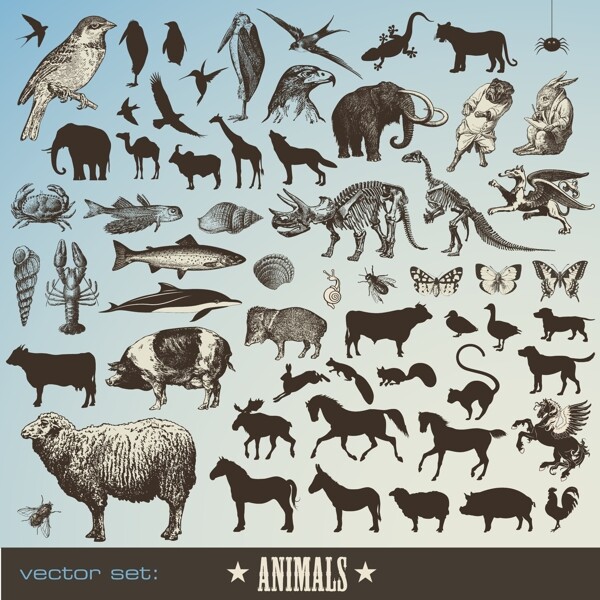 动物图标矢量素材
