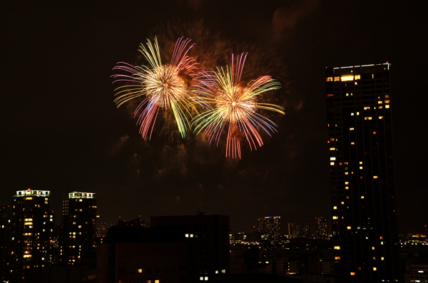 夜空中绽放的烟花