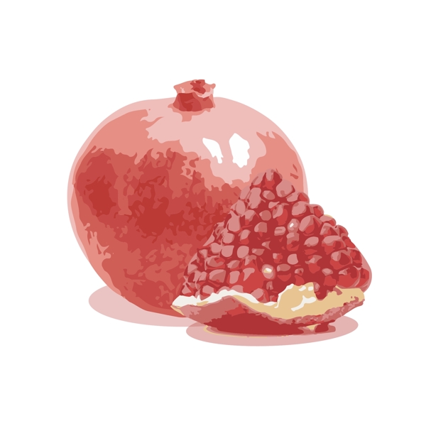 石榴矢量水果红色掰开的石榴