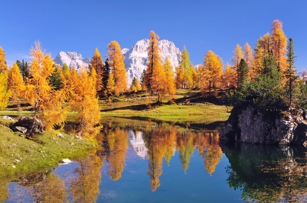 秋日湖景一池秋水图片