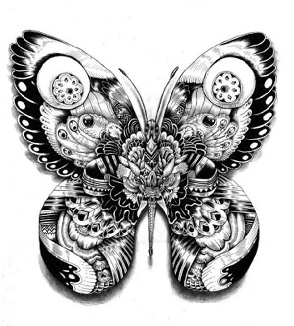 位图动物昆虫蝴蝶插画免费素材