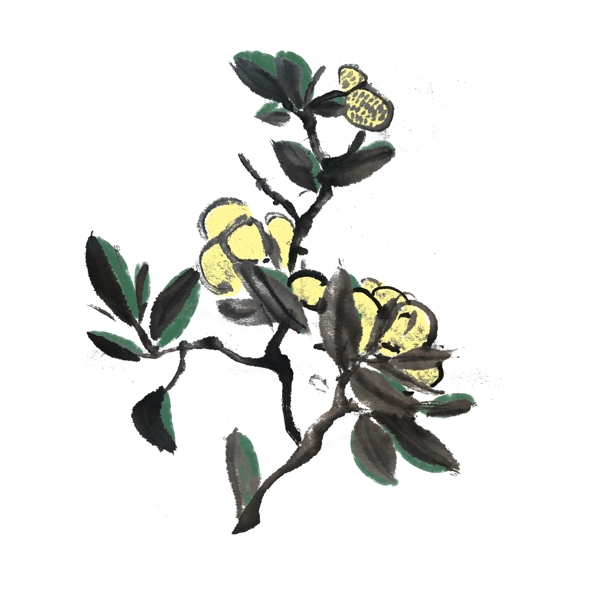 夏季水墨风黄色的花手绘插画