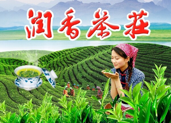 茶莊图片