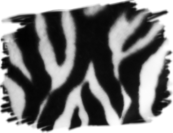 斑马条纹背景PSD动物自然