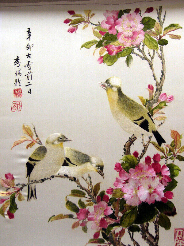 海棠春莺图片