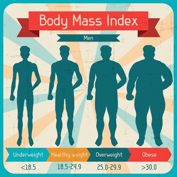 男性身体质量指数图矢量素材