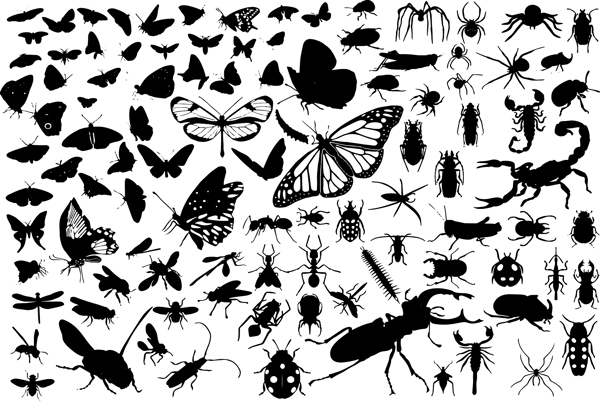 100种感染源昆虫矢量元素