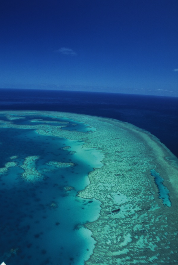 全球首席大百科海滩海边沙滩海浪海水浪花