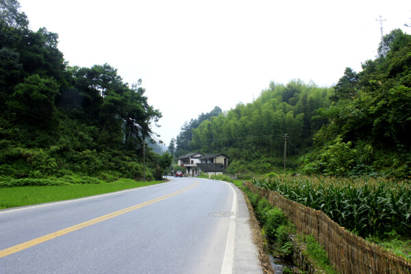 村边公路图片