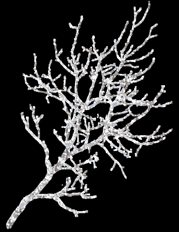 落雪的树枝png元素素材
