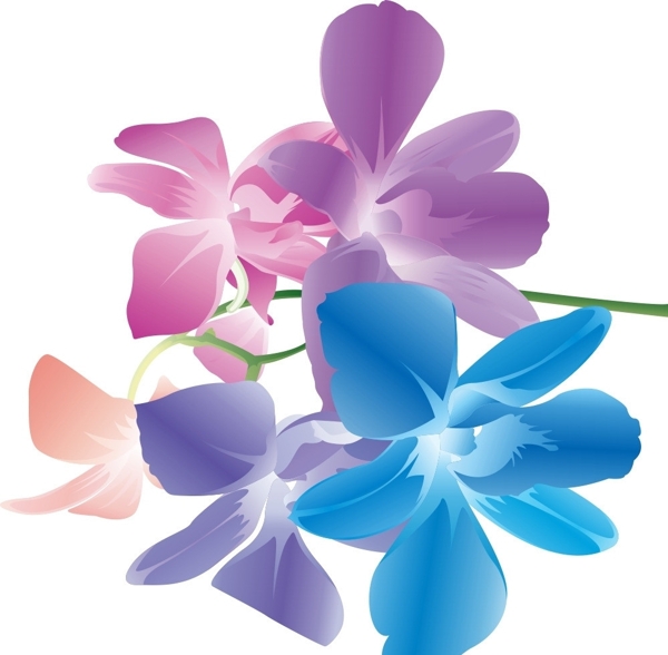 水墨五彩花瓣花朵图片