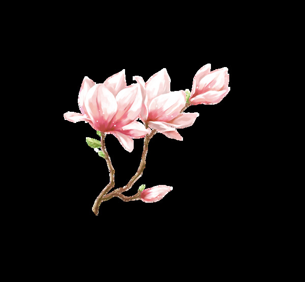 粉色花朵花枝png元素